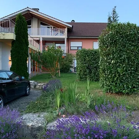 Im Hegau Apartamento