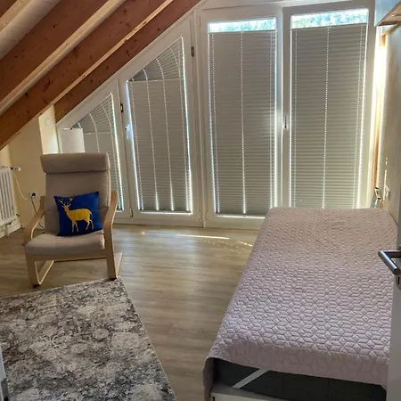 Im Hegau Apartamento