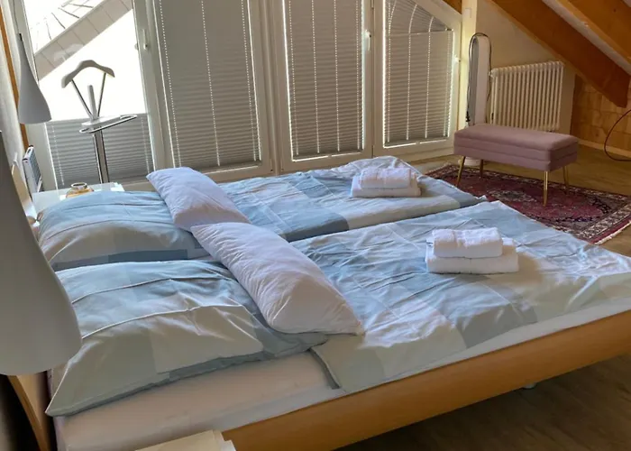 Im Hegau Apartment Singen (Hohentwiel)